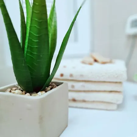 Üdülőközpont Residence-apartment-giuliano-punta Skala,