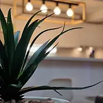 Residence-apartment-giuliano-punta Skala, Resort Petrcane