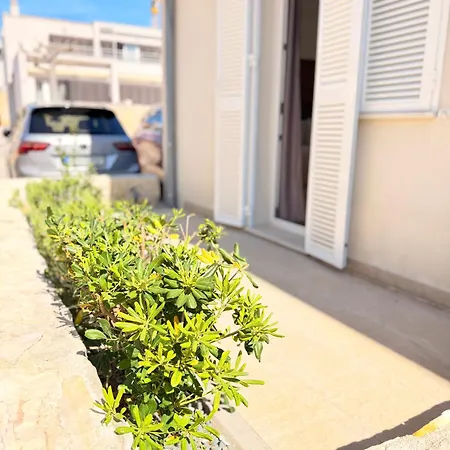 Residence-apartment-giuliano-punta Skala,