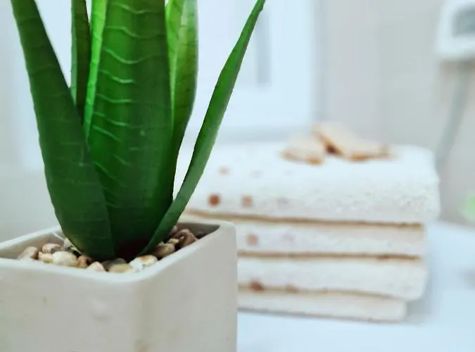 Resort Residence-apartment-giuliano-punta Skala,